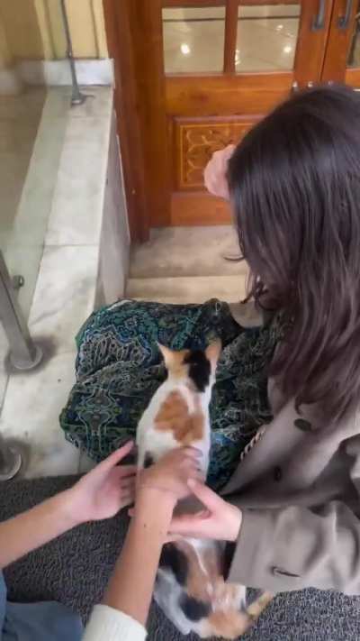 The moment she realizes she was adopted by a kitten..cat chooses you. 🐈🐾