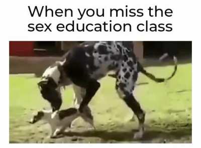 All of us I suppose