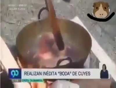XD