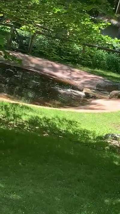 Capybara Date!