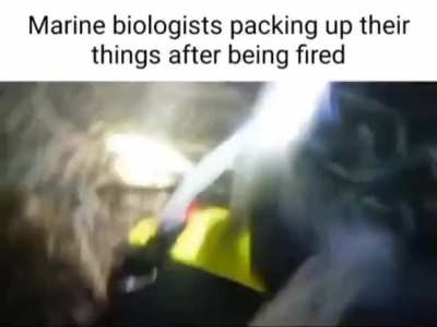 He didn't get to work on time 