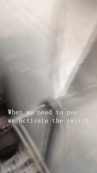 Peeing aid