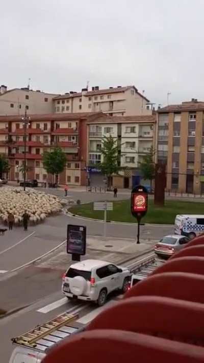 Just a normal day in the city