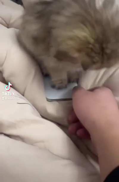 Don’t take my phone