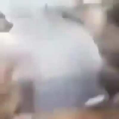 blursed_catfight