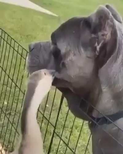 hmmm