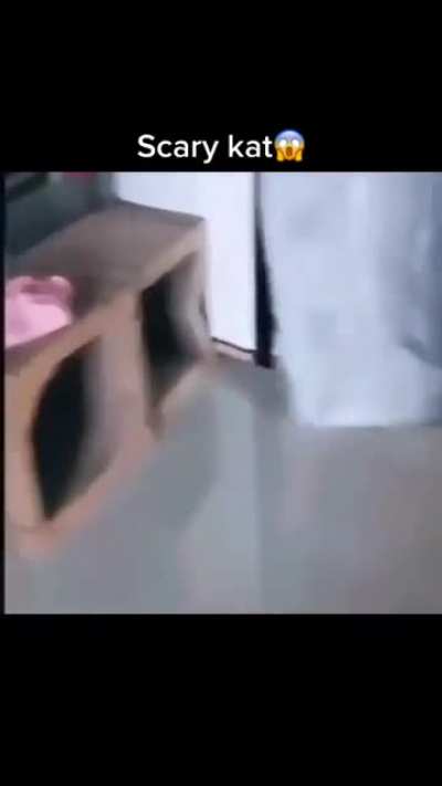 😨