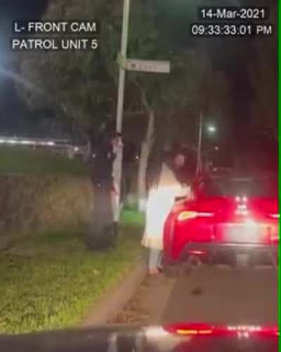Police man stops a BMW and things take a very very weird turn