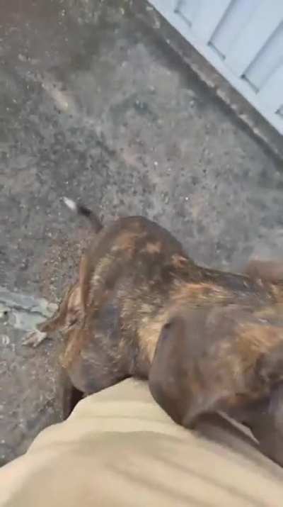 Ó as ideia!