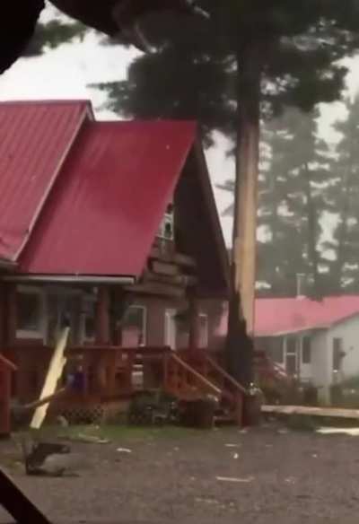 And that is why you don’t take cover under a tree