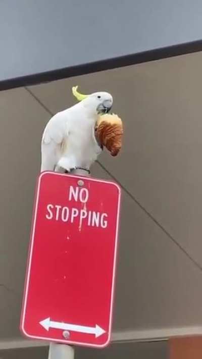 Me_irl