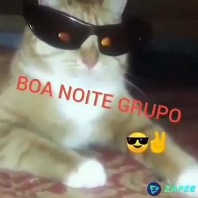 Boa noite