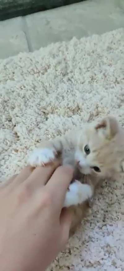 Grabby hands