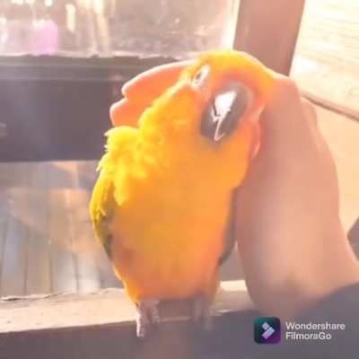 Perfect fit