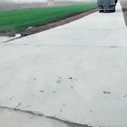 When a goat jumps off of a moving truck