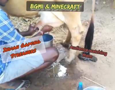 Gaming Dairy