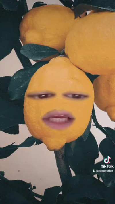 When life gives you lemon, you make milkshake...I guess.