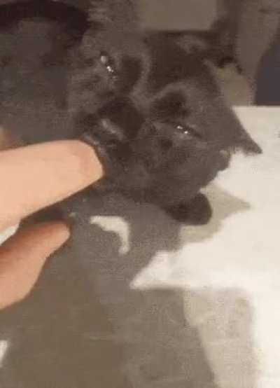 the suckar