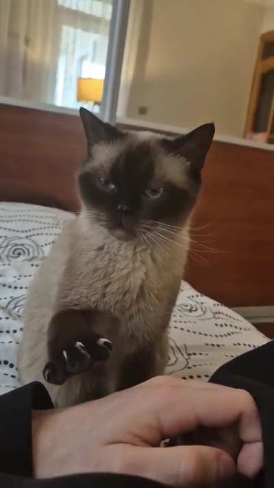 she's doing this Paw thingy, so adorable