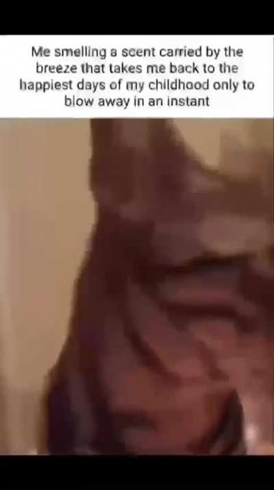 Bro