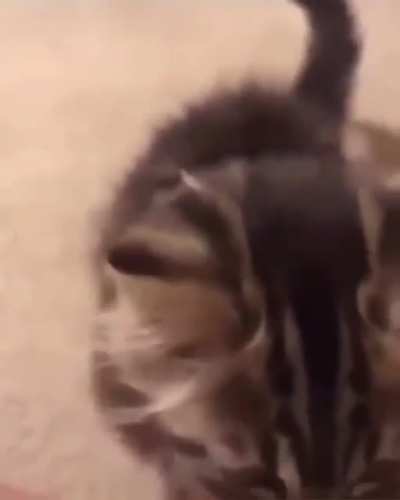 AAAAAA