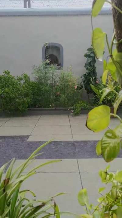 a rainy afternoon