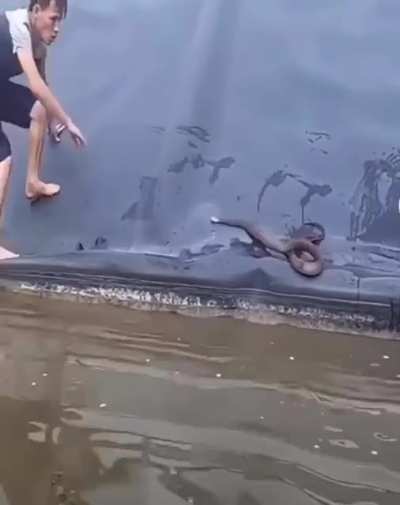 He’s tripping on the snakes, I’m tripping on the darkness of the water and whatever TF might else be in it. *cringe*