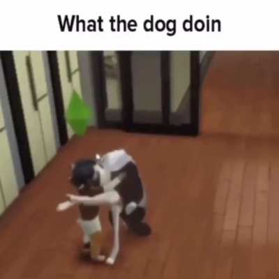 Good dog