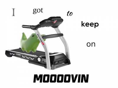 Crocodile 🐊🎵