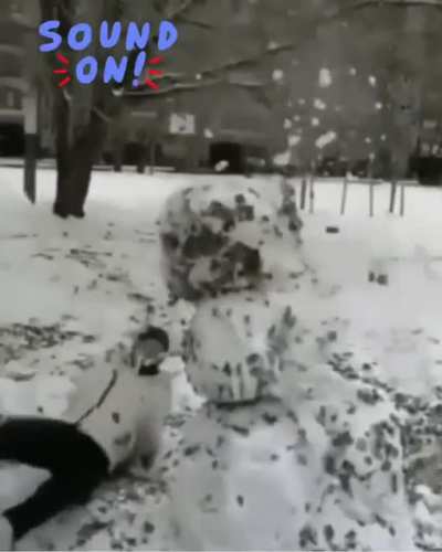 Stone Cold Frosty