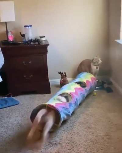 Sneak Attack