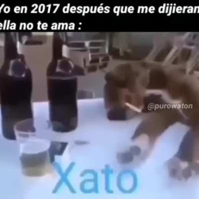 Ella no te ama