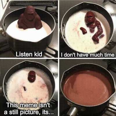 The Wise Wisdom of Choco Harambe