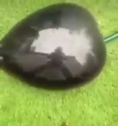 Hmm