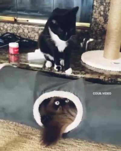 Нежда<wbr>нчик