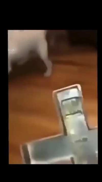 Изгон<wbr>яющий дьявола