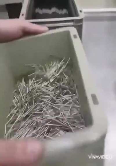 How to organise Nails the right way