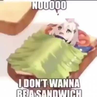 sandwich