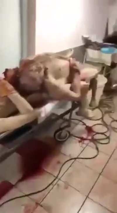 Combat aftermath