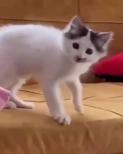 Au