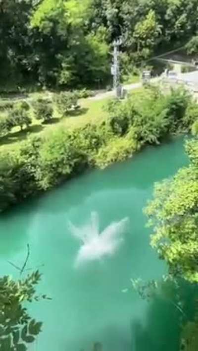 Nice diving skills !