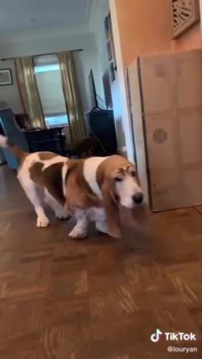 Kanye West Doggo