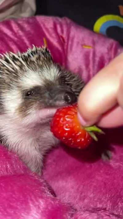 Yum