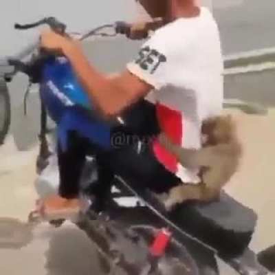 Pog