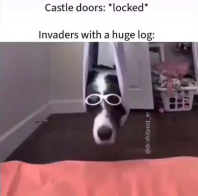 Huge log