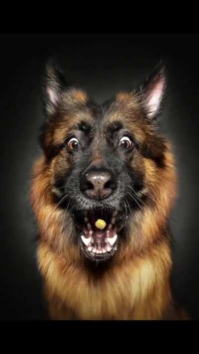 great photographer