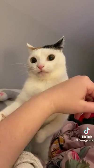 Why are you doing this?