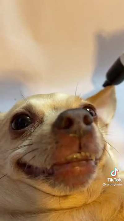 Yes