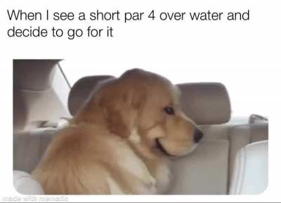20% of the time it works every time