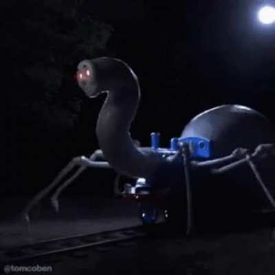 Tomas the aricnid-train